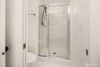 Lower level shower.