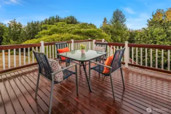 Deck off kitchen.