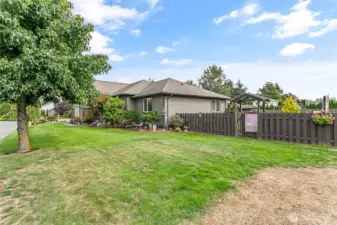 Front yard/side yard