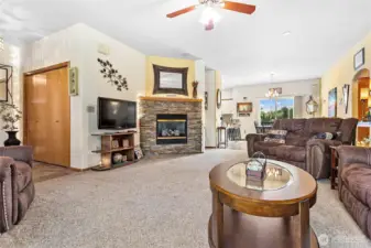 Gas fireplace