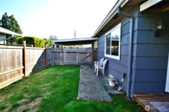 Backyard