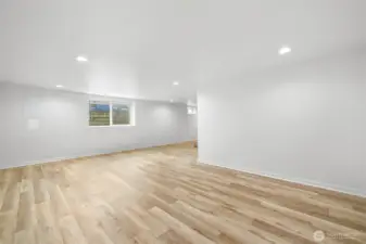 Basement Family / Rec Room