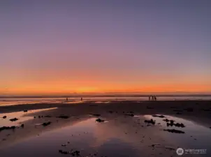 Evening Clam Digging