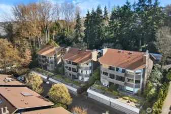 The Borealis on Queen Anne