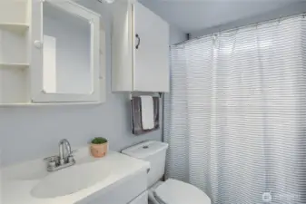 updated & remodeled bathroom
