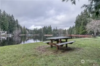 Picnic at the lake.