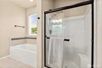 Walk-in Shower and Soaking Tub