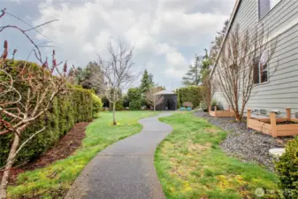 Side Yard