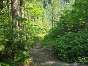 Trail to community beach  is only 1 block away.