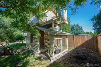 Shed/chicken coop