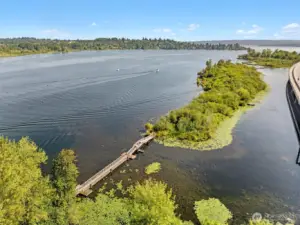 Take nice strolls down to Lake Washington and Foster Island, the Arboretum and watch the boats and rowing teams on the Cut.
