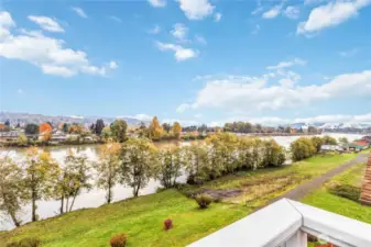 View from Rooftop Deck