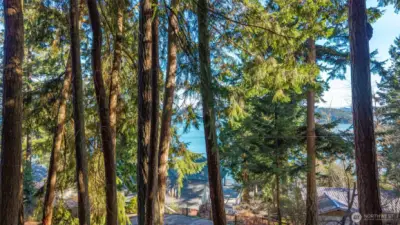 Peekaboo views through the trees.  With selective clearing, you could get a pretty good view.