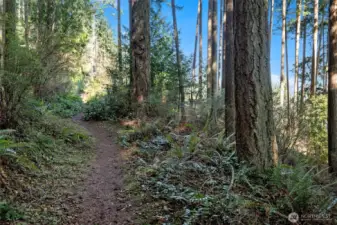 This park trail is just a few feet from the western boundary of the property.  Easy access from the property gives you endless hiking in beautiful Deception Pass State Park!