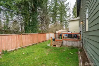 Back yard