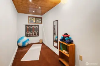 Bonus room for workout, yoga or home office