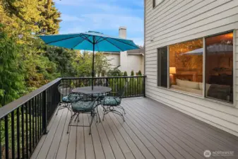 Large deck with custom railing, great for entertaining! Room for lots more furniture out here!