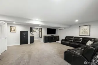 Downstairs family room