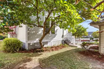 Peaceful and private yard.