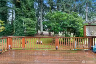 Tree provide privacy.