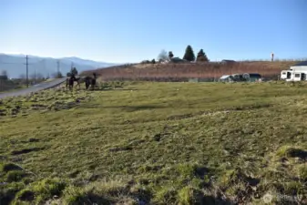 West view from top of pasture. Pasture slopes down towards 10th St SE.