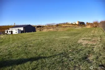 NW view from SE corner of yard