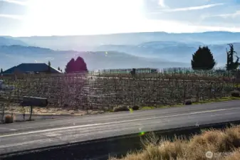 Enjoy your own little taste of Tuscany with Circle 5 directly across the street providing a beautiful backdrop during the spring, summer, and fall!!