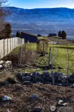 New trees, established raspberries and strawberries, and vegetable garden.