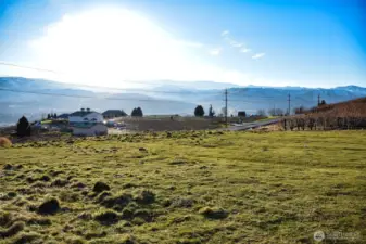 SW view of Circle 5 winery from NE corner of pasture