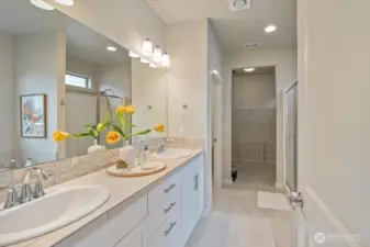 Primary bath leads to sizeable walk-in closet