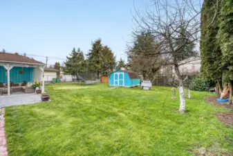 Functional backyard with storage shed and open lawn.