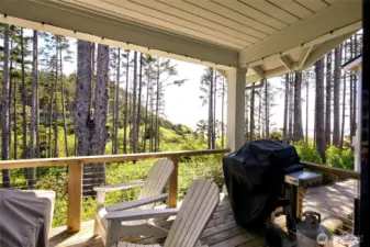 The covered back porch is large and perfect for outdoor entertaining with propane BBQ, and furniture (all included)!