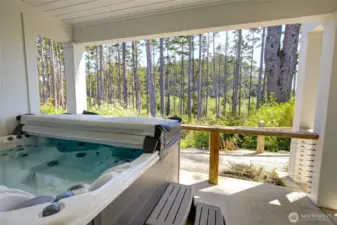 Out the family room door is a wonderful hot tub that is covered but you can still see the stars and watch the waves.