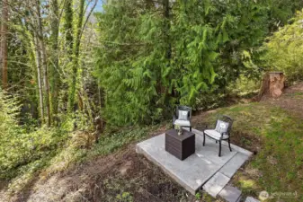 An adorable patio for the lower level. The seller previously used this as a container garden as it's bathed in sunlight for much of the day. Add power, and it would make a great hot tub area