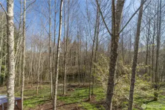 Property has some nice level areas.