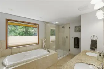 Master has gorgeous walk in master bathroom with soaker tup!