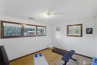 Lower level 4th bedroom