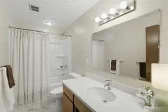 Lower level full bathroom