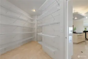 The spacious walk-in pantry is plumbed for an ice-maker, wine fridge, or second refrigerator
