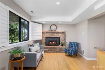 Lower level living space w/gas fireplace.