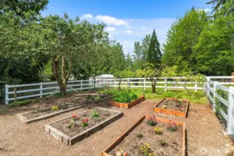 Fully fenced garden space with raised beds—perfect for growing your own fresh veggies or flowers.