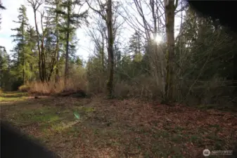 There's alot of forest here