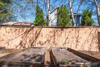 Raised Garden Beds