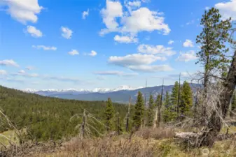 Stunning views of the Stuart Range!