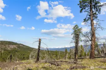 12.6 acres of vacant land in the coveted Hidden Valley.