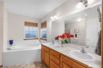 Double sinks