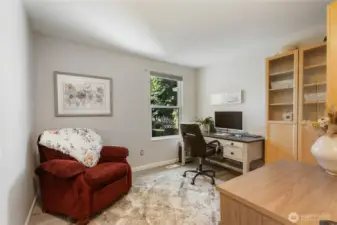 Guest bedroom currently used for an office