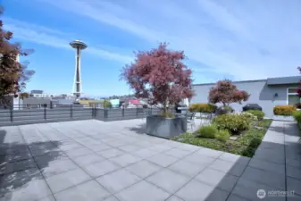 1 of 3 rooftop decks