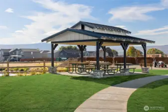 Covered picnic tables at the park