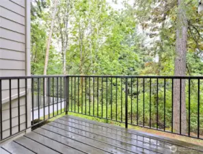 Deck off living room
